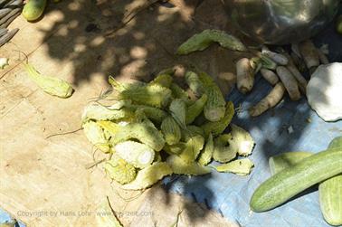 Farmer Market, Bauernmarkt, Mysore_DSC4700_H600